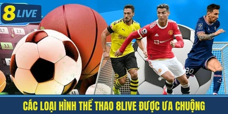Thể Thao 8Live - Các Loại Hình Thể Thao Ưa Chuộng Mới Nhất 2 Các Loại Hình Thể Thao 8Live Được Ưa Chuộng